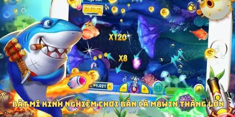 BẮN CÁ M8WIN 3 Bỏ túi kinh nghiệm săn cá siêu đỉnh